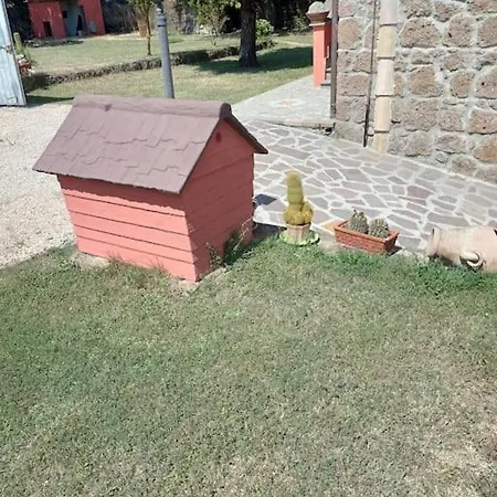 Campo Del Gatto Tatil Evi